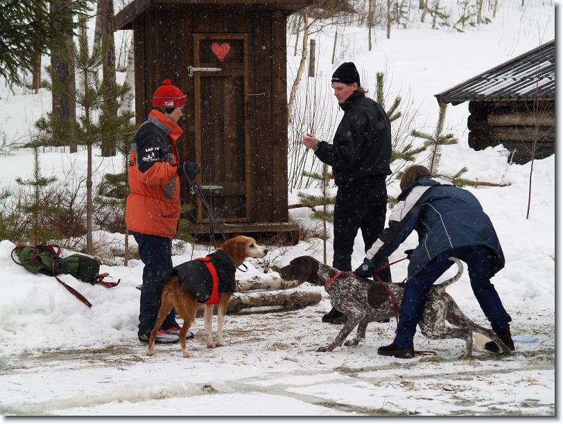 Nästa bild
